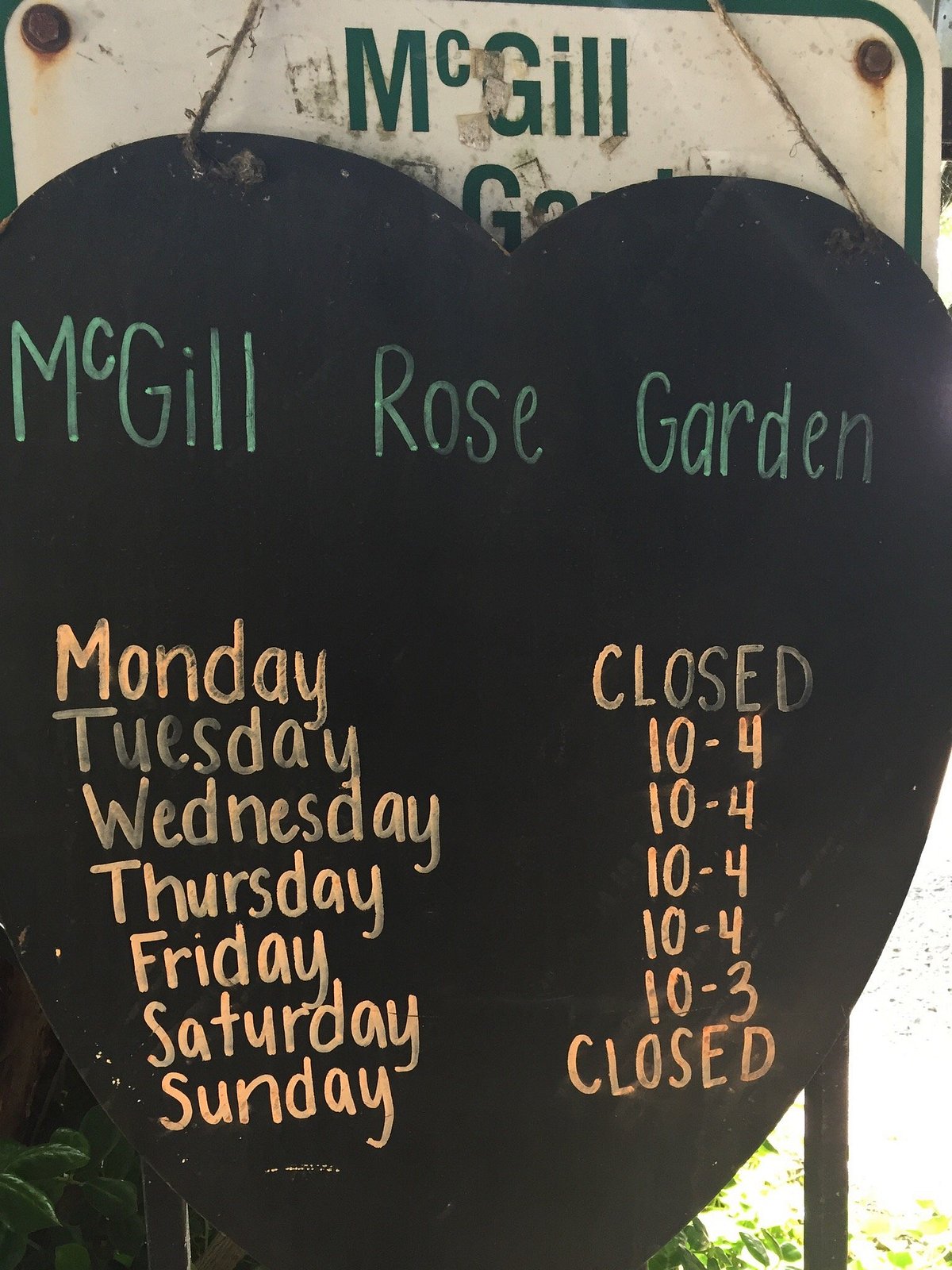 McGill Rose Garden (Charlotte) - All You Need to Know BEFORE You Go