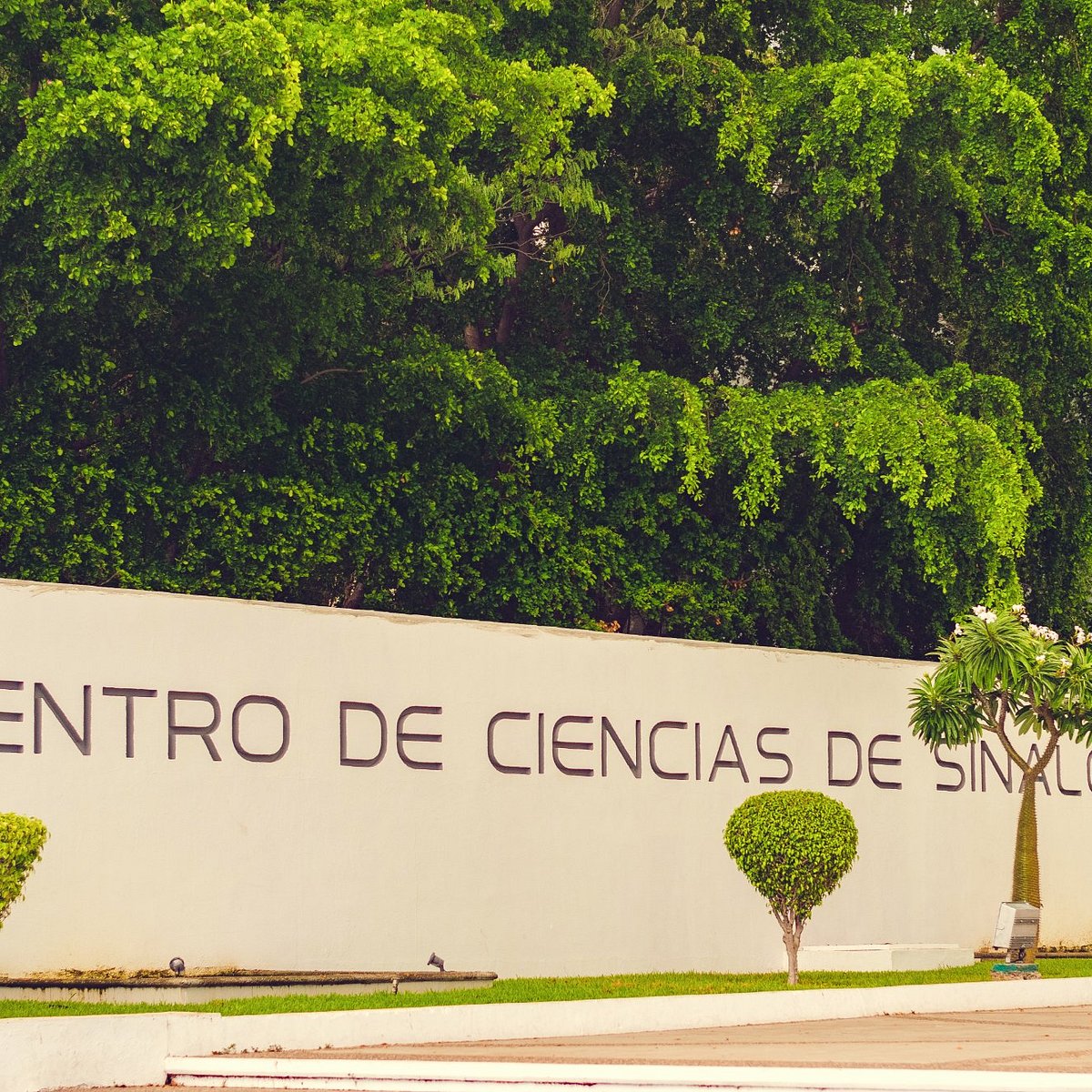 Centro de Ciencias de Sinaloa (Culiacán) - Lo que se debe saber antes de  viajar - Tripadvisor