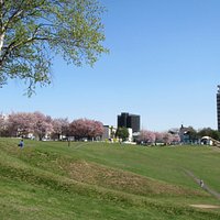傾斜のある公園