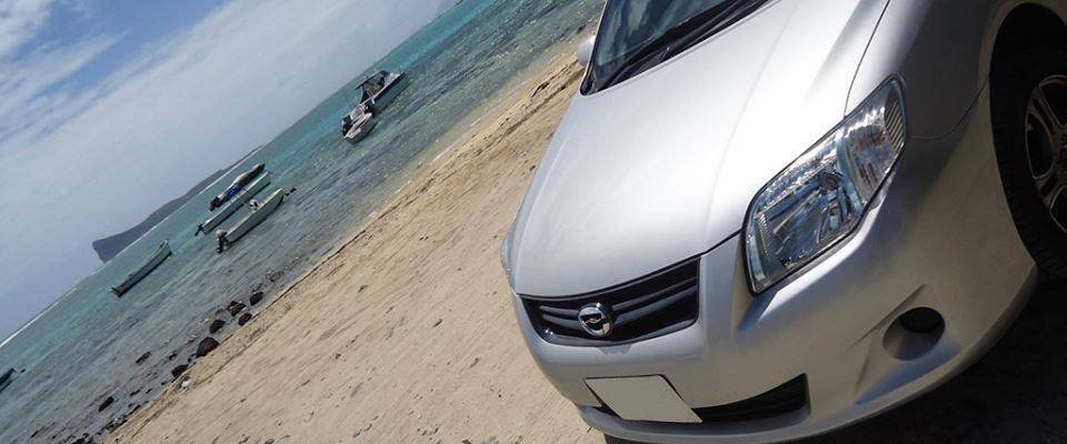 Tours, sight-seeing, airport transfers, dispatching, pick and drops.