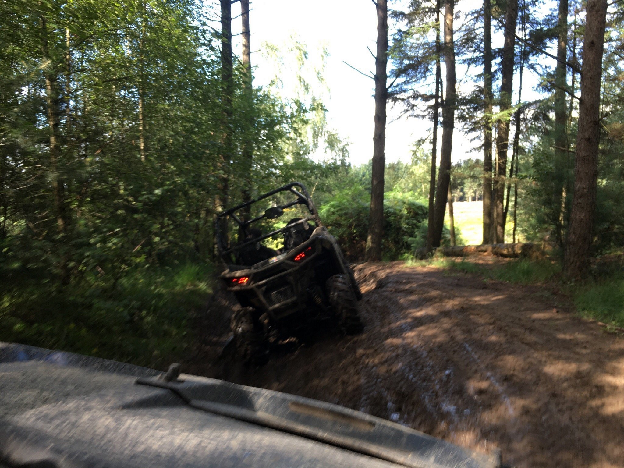 FURSTEN FOREST (Fuerstenau) 2023 What to Know BEFORE You Go