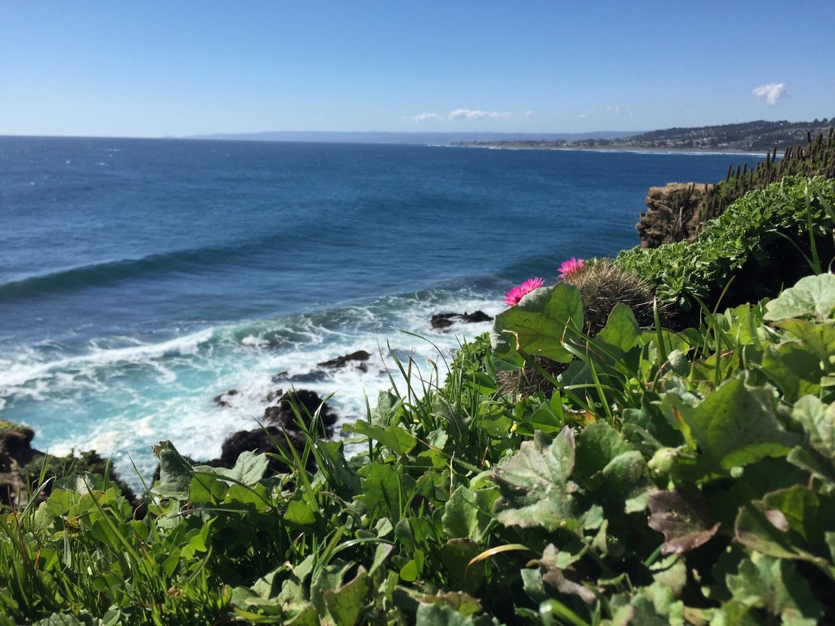 Introducir 30+ imagen playa punta de lobos pichilemu