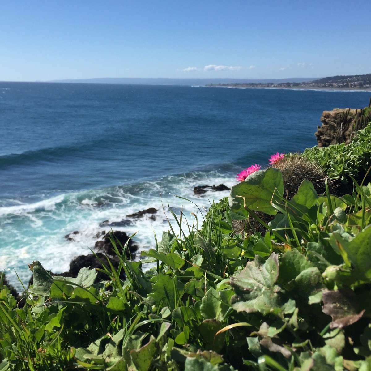 Playa Punta de Lobos (Pichilemu) - All You Need to Know BEFORE You Go