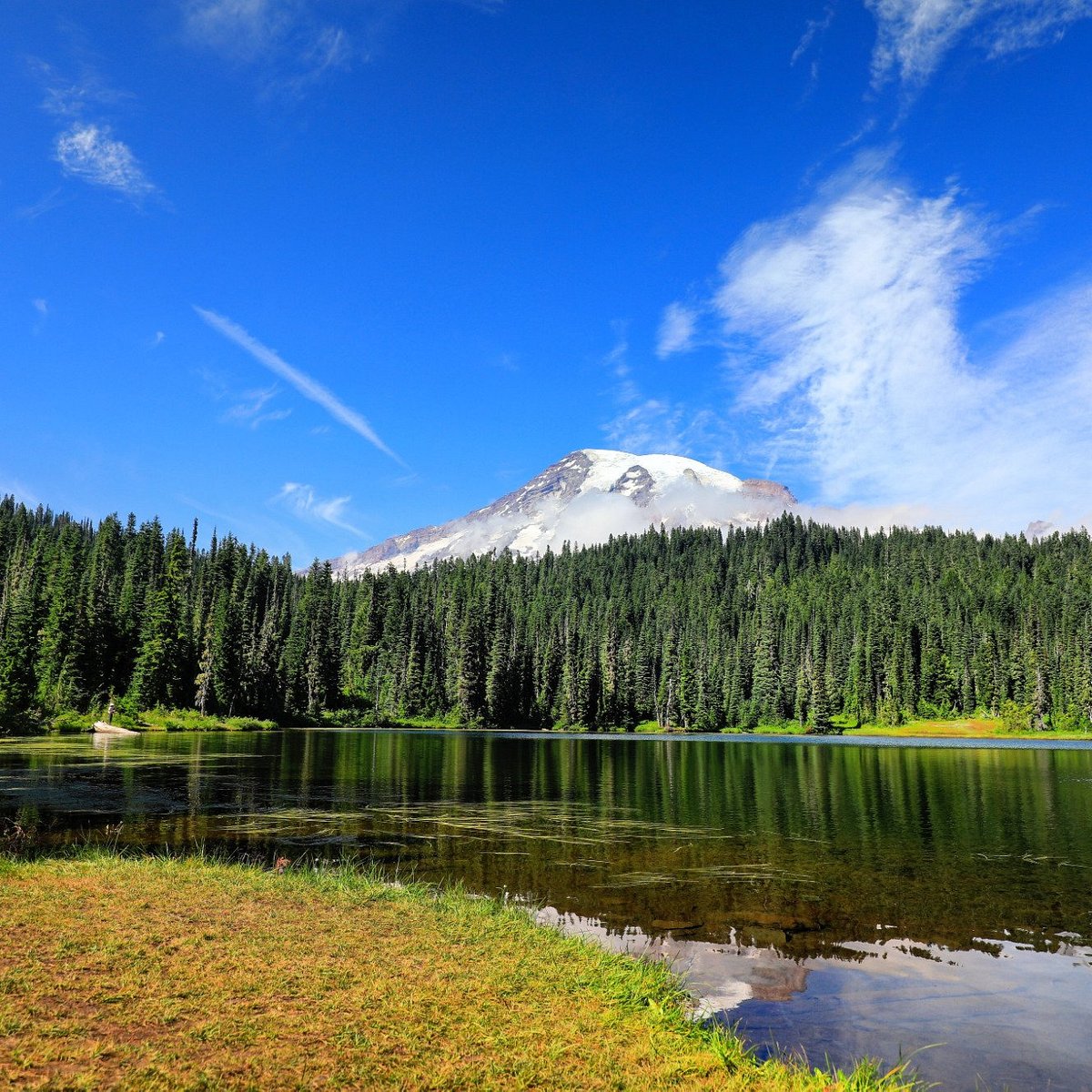 Mount Rainier National Park was established.