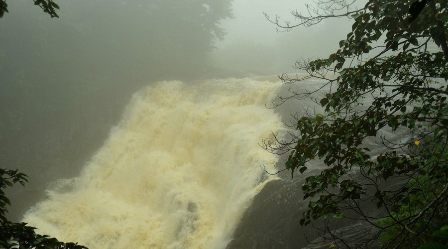 This was taken in Monsoon time, Dont expect this in all season