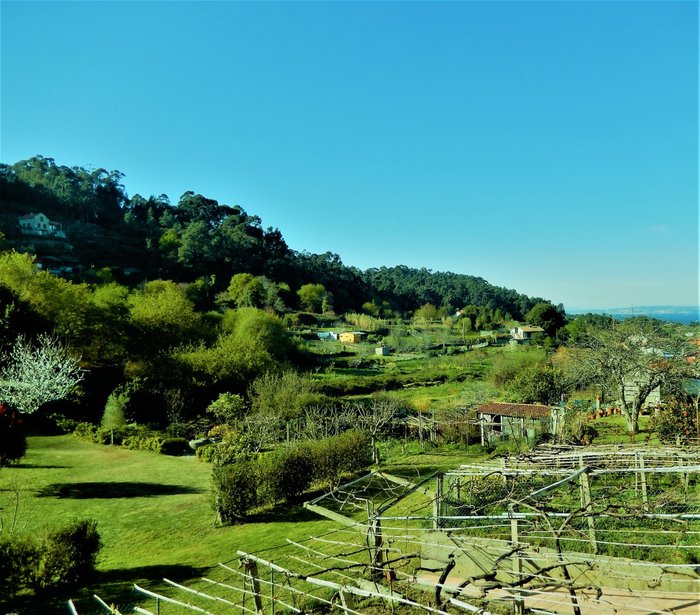 Imagen 10 de Casa Rural A Bouciña