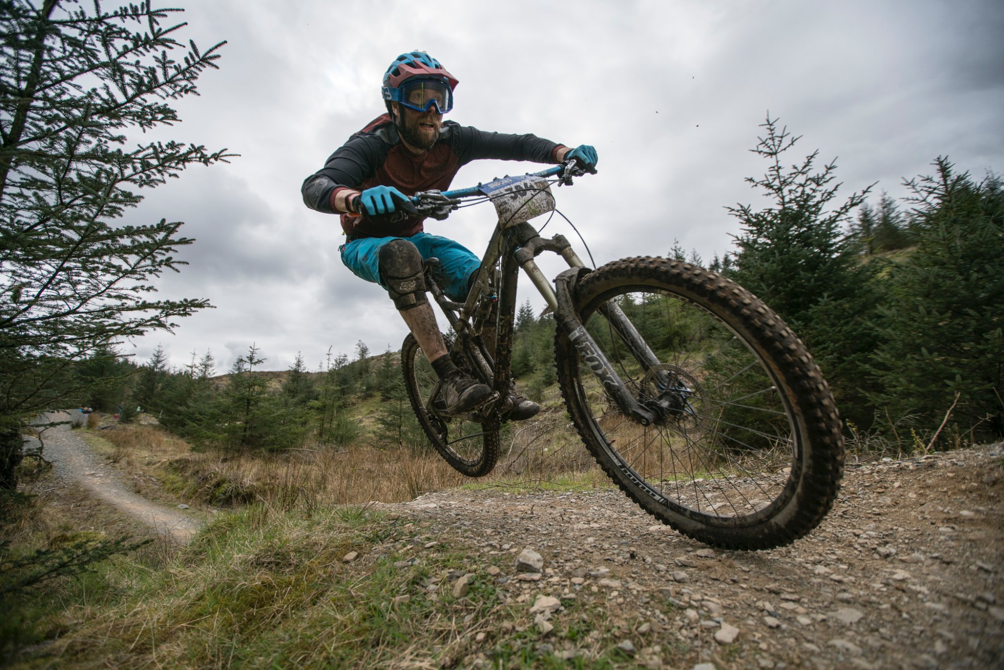 Grizedale 2024 forest mtb