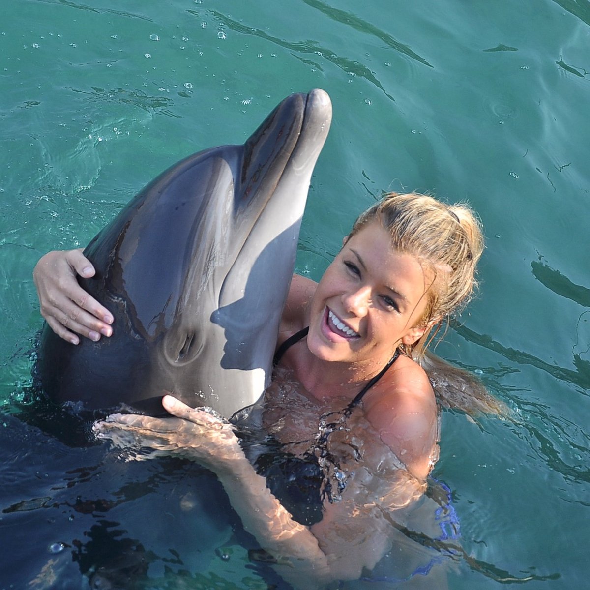 Bodrum Dolphin Park - Yunus Gösteri Merkezi, Гюверчинлик: лучшие советы  перед посещением - Tripadvisor