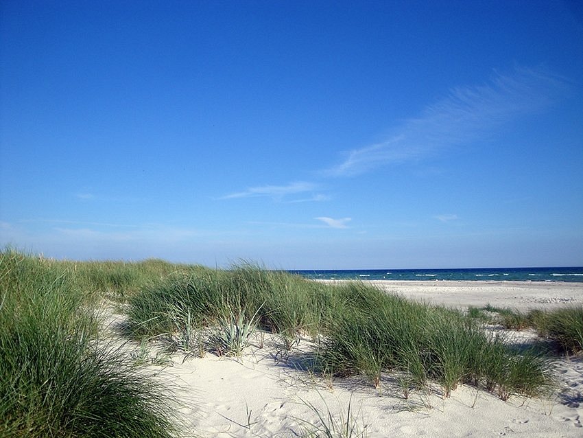 Beach (Danmark) Anmeldelser -
