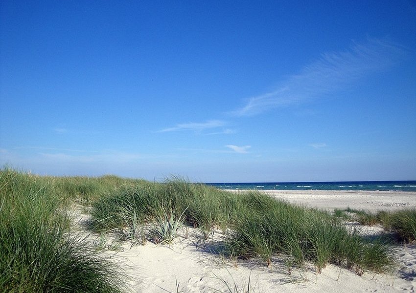 Dueodde Beach image