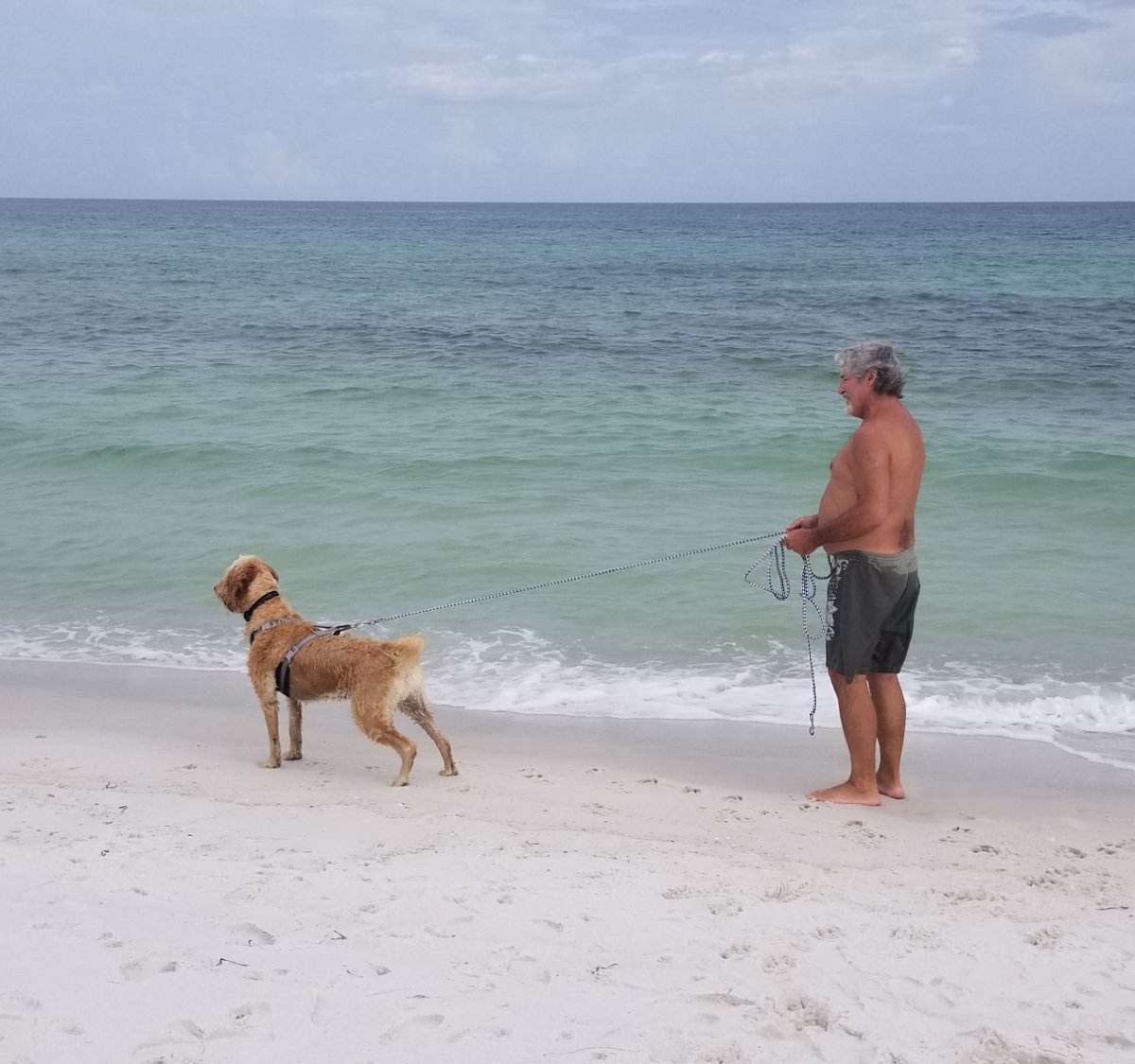 where are dogs allowed on the beach in florida