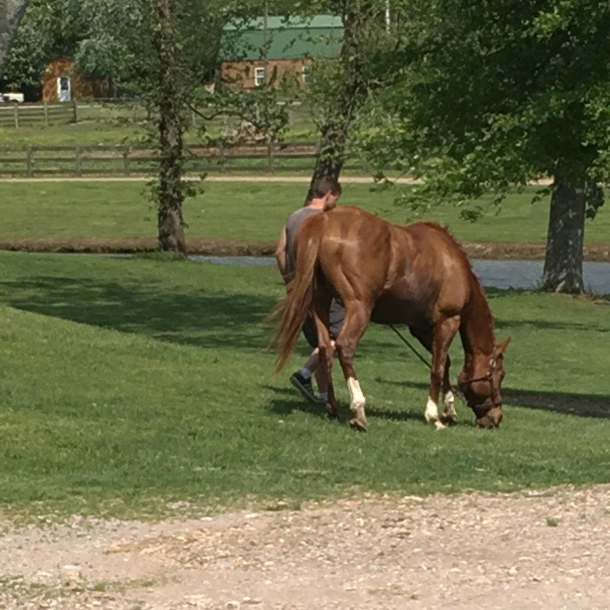 CIRCLE G RANCH (Lynnville) 2022 tutto quello che c'è da sapere