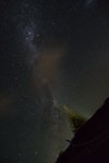 Kai_Iwi2017