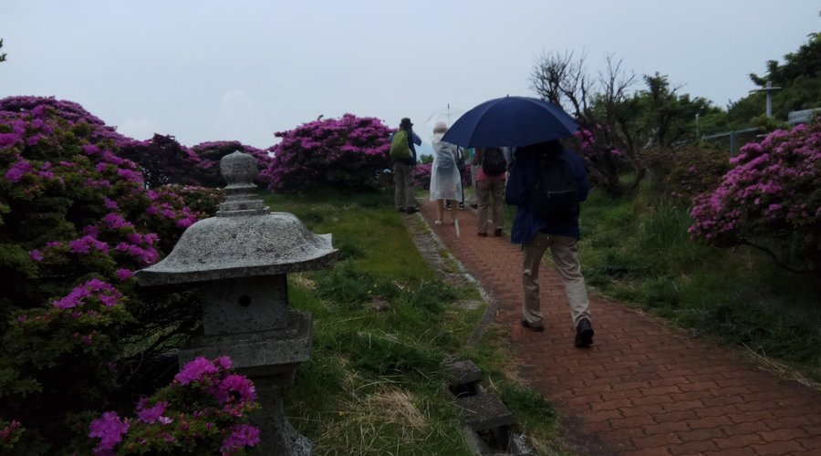 mt tsurumi