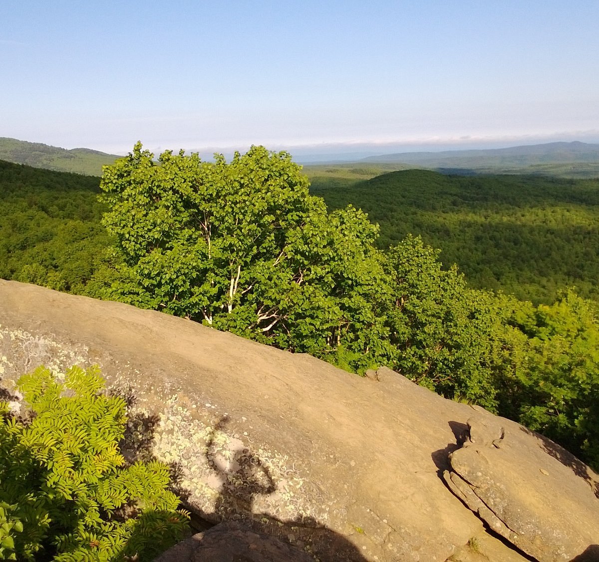 Останец Лягушка, Южно-Сахалинск: лучшие советы перед посещением -  Tripadvisor