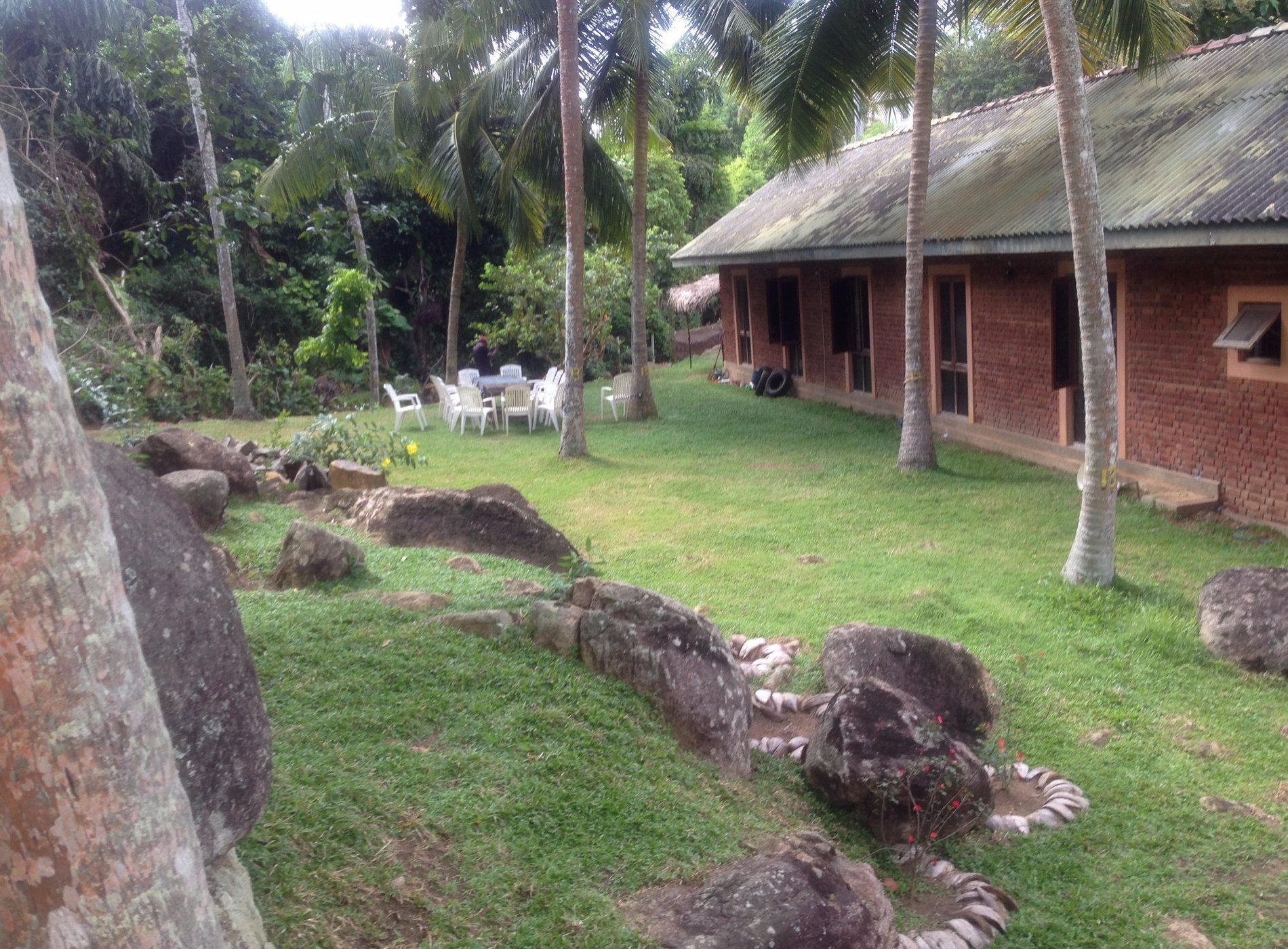 Jungle Beach Hostel and Campsite image