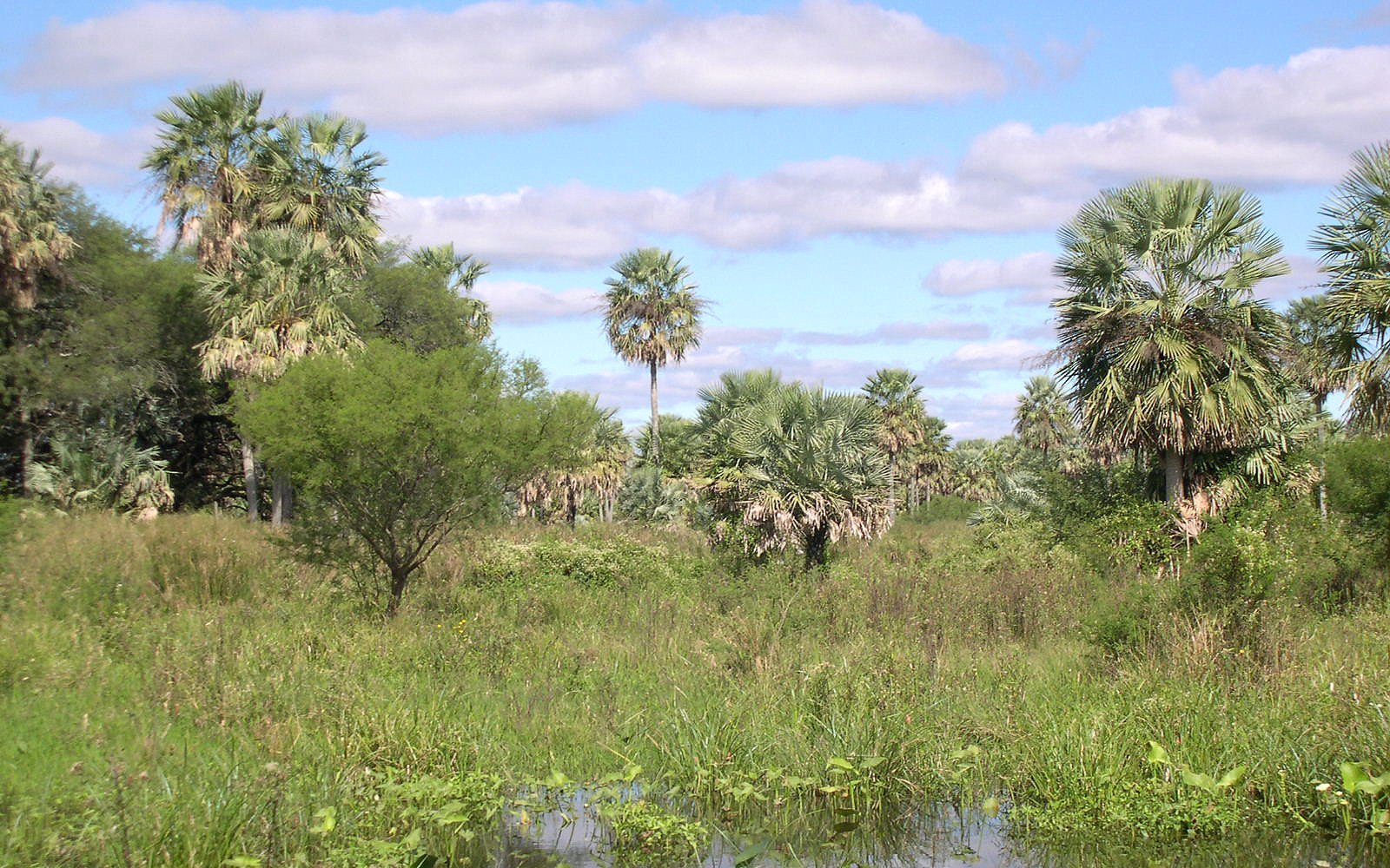 10 MEJORES parques y atracciones naturales de Provincia de Chaco