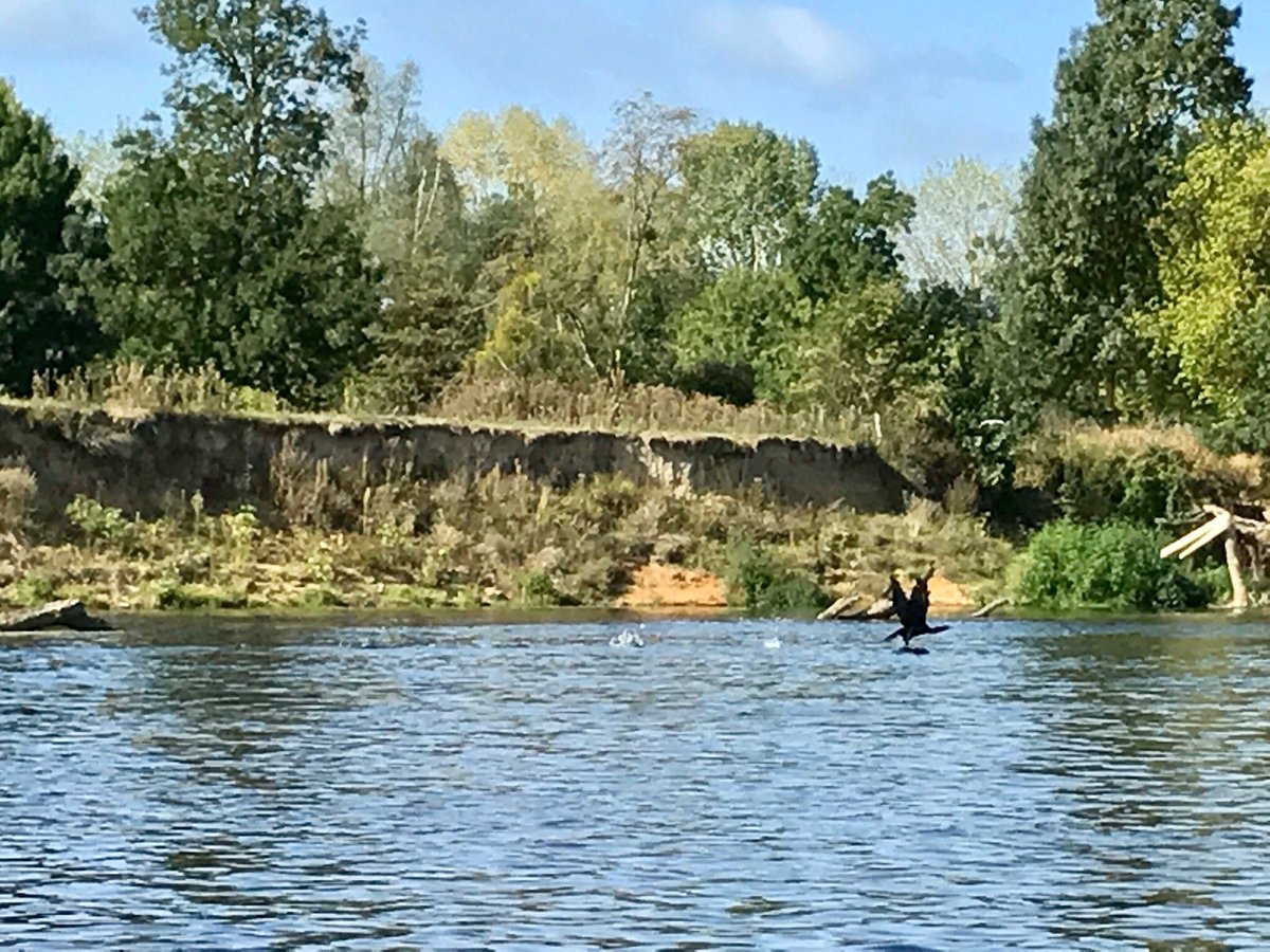 CLUB SAUMUROIS DE CANOE KAYAK (Saumur) - All You Need to Know BEFORE You Go