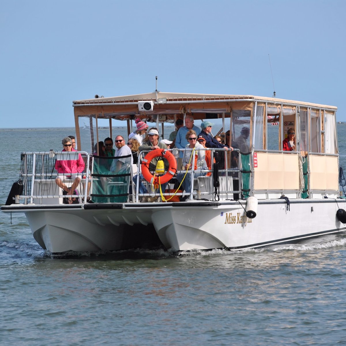 Amelia River Cruises & Charters (Fernandina Beach) - All You Need to ...