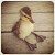 Duckie c