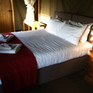 Giraffe Lodge