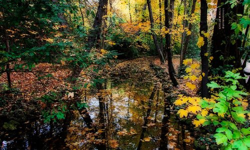 Valladolid Campo Grande, bosque oasis en mitad de la ciudad