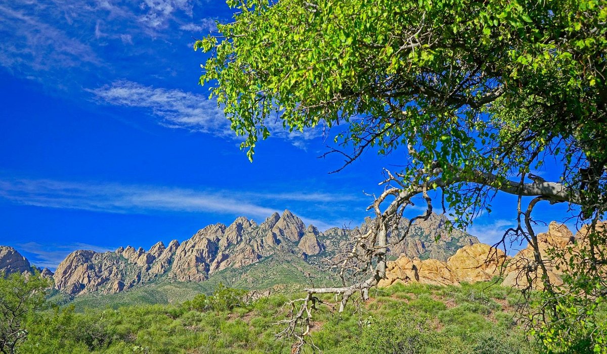 THE 15 BEST Things to Do in Las Cruces (2024)