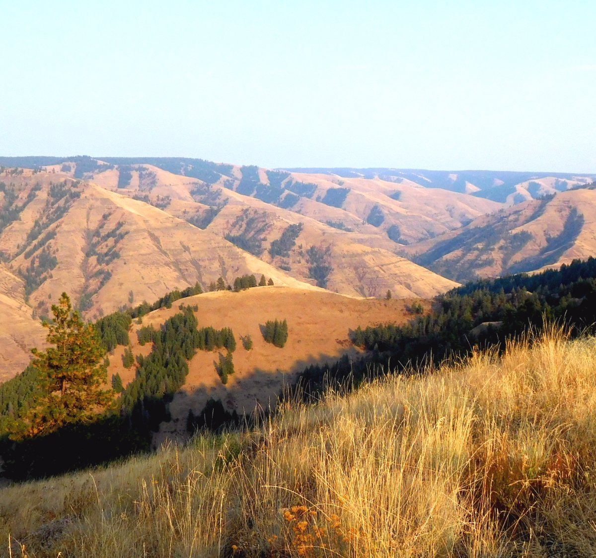 JOSEPH CANYON VIEWPOINT (Enterprise) - All You Need to Know BEFORE You Go