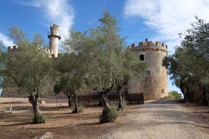 Imagen 21 de Castillo de Caceres