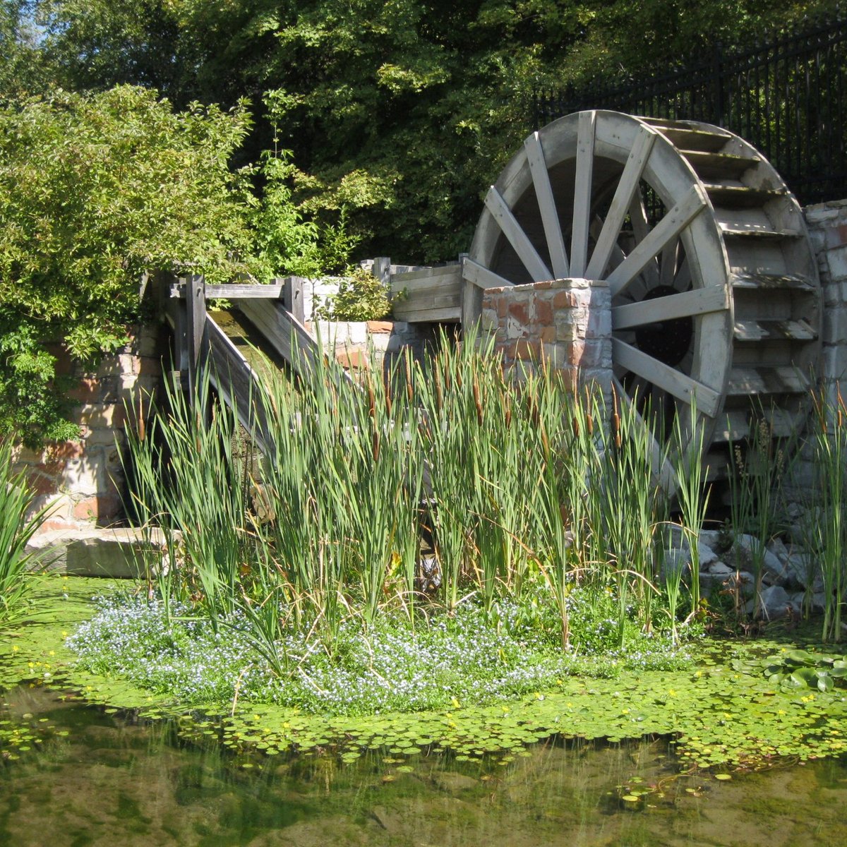 Brigham Young Historic Park - All You Need to Know BEFORE You Go (2024)