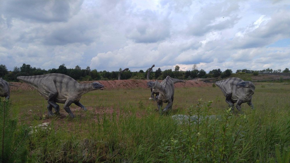 widok dinozaurów