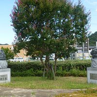像2体