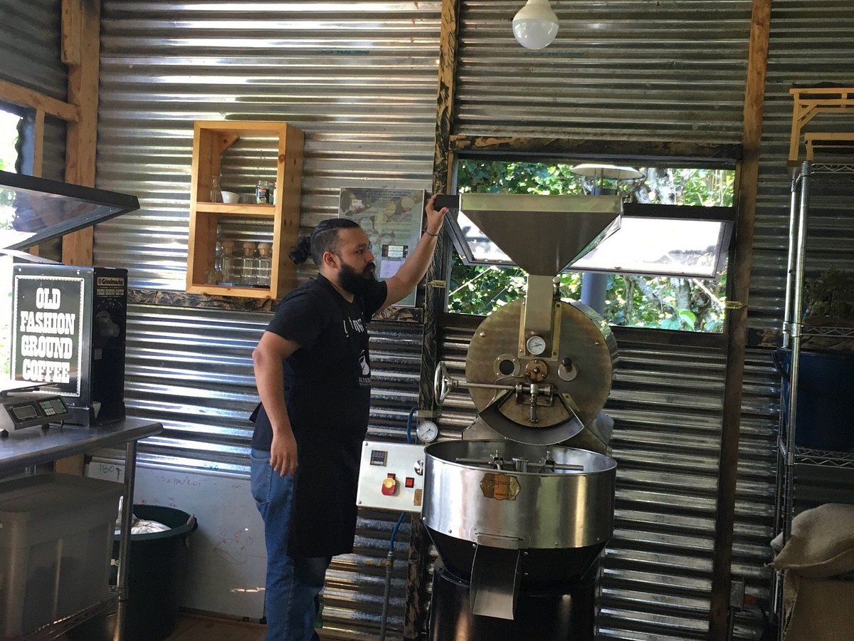 juayua coffee tour