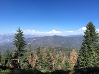 Panoramic Point (Sequoia and Kings Canyon National Park) - All You Need ...