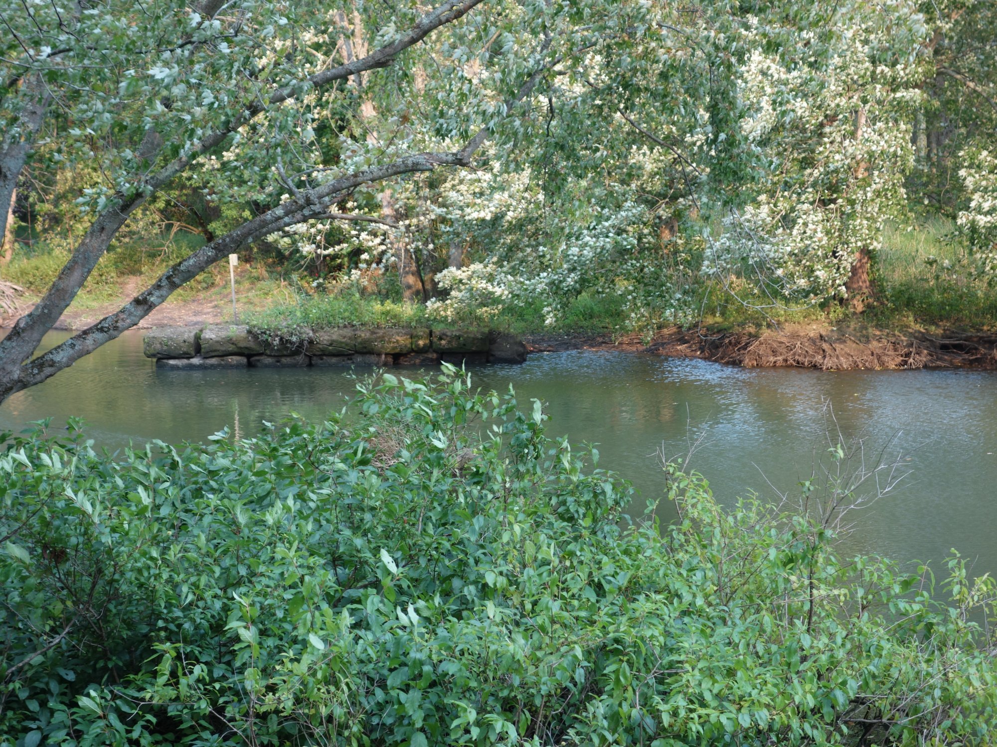 Burton Wetlands Nature Preserve All You Need to Know BEFORE You