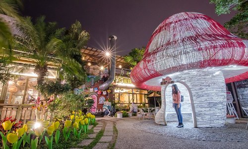 大坑紙箱王夜景