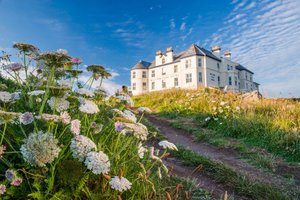 Mullion Cove Hotel & Spa in Mullion, image may contain: Flower, Plant, Villa, Housing