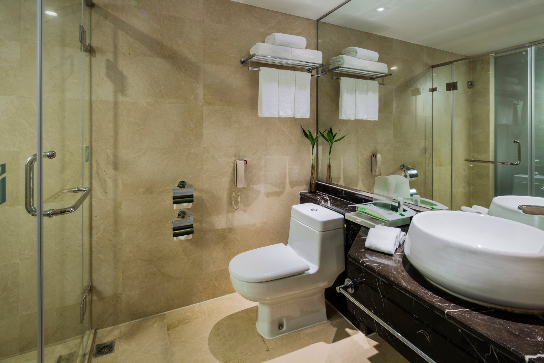 Hotel photo 46 of Holiday Inn Nanjing Aqua City, an IHG hotel.
