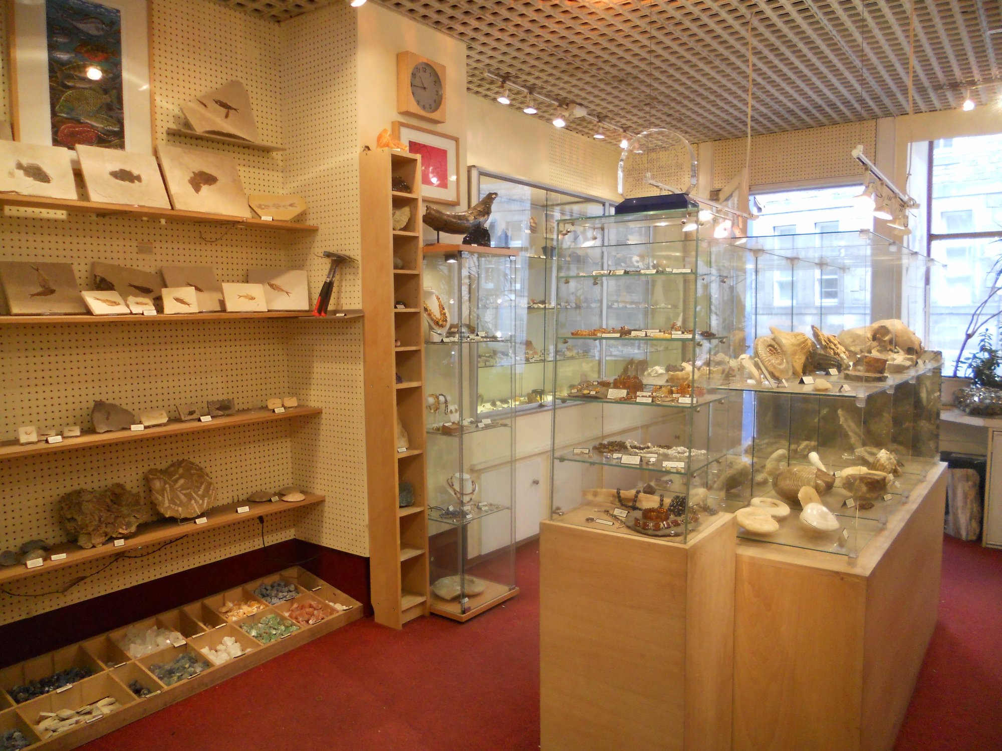 Nearest fossil shop sale