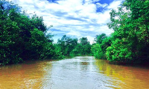 alquiler Masaje Pasto Turismo en Puerto Gaitan, Colombia 2023: opiniones, consejos e información - Tripadvisor alquiler Masaje Pasto Turismo en Puerto Gaitan, Colombia 2023: opiniones, consejos e información - Tripadvisor