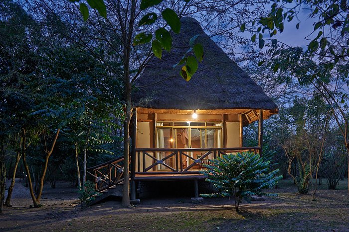 ISHASHA JUNGLE LODGE - Updated 2022 Prices & Reviews (Uganda/Queen Elizabeth National Park)