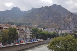 Seyahat Eden