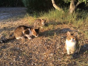 Θέα από το δωμάτιο