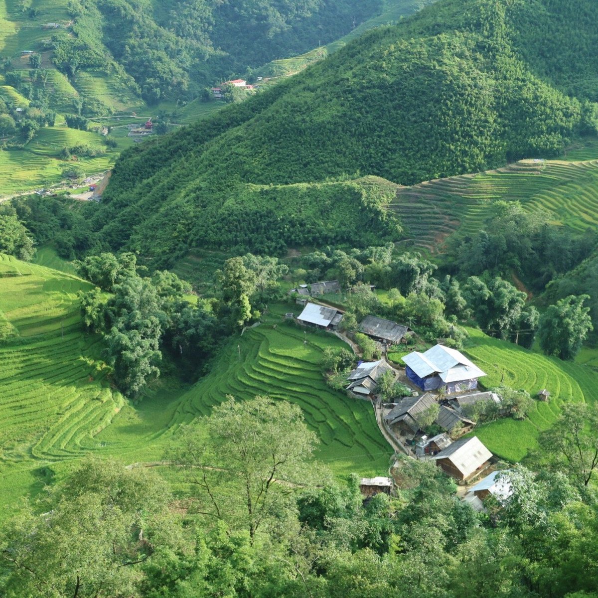 Giang Ta Chai Village ở Sapa là một địa điểm du lịch hấp dẫn tại Việt Nam. Với cảnh quan thiên nhiên tuyệt đẹp và phong cách sống độc đáo của người dân bản địa, Giang Ta Chai Village đã thu hút rất nhiều du khách đến thăm và trải nghiệm. Hãy xem hình ảnh liên quan để thấy rõ hơn vẻ đẹp của làng Giang Ta Chai.