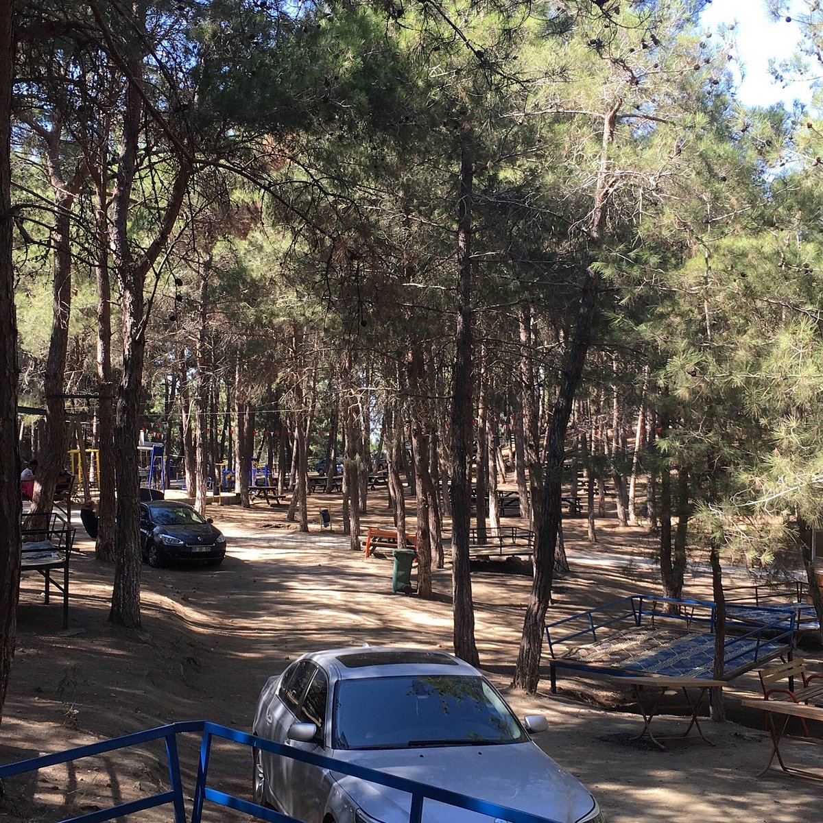 yerel bekar kadınlarla tanış ahlaksız hikayeler