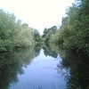 Things To Do in Beeston Sidings Nature Reserve, Restaurants in Beeston Sidings Nature Reserve