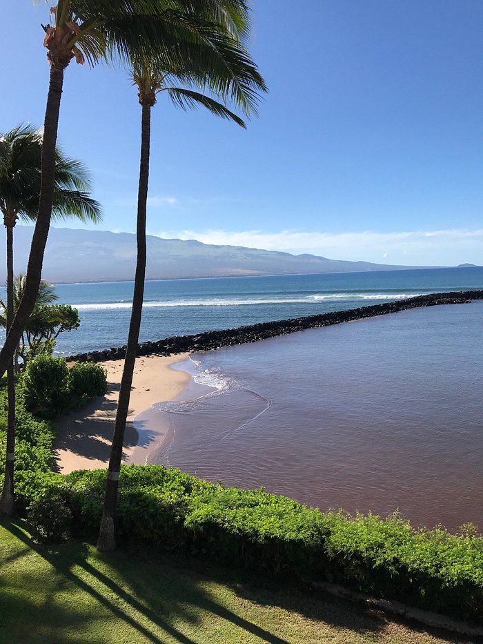 maalaea yacht marina 308