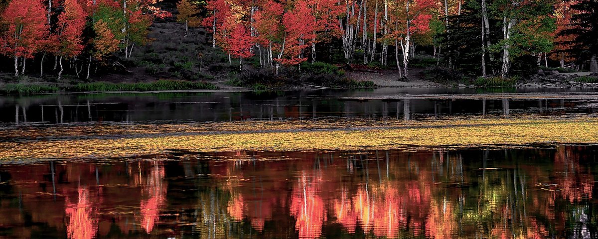 Aspen Mirror Lake (Duck Creek Village) - All You Need to Know BEFORE You Go