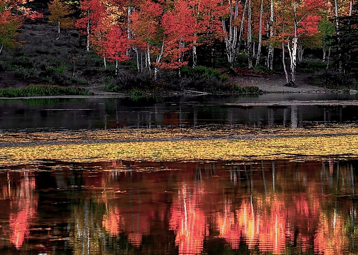 Fall Colour at Aspen Mirror Lake