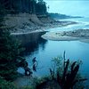 Things To Do in Haida Style Expeditions, Restaurants in Haida Style Expeditions